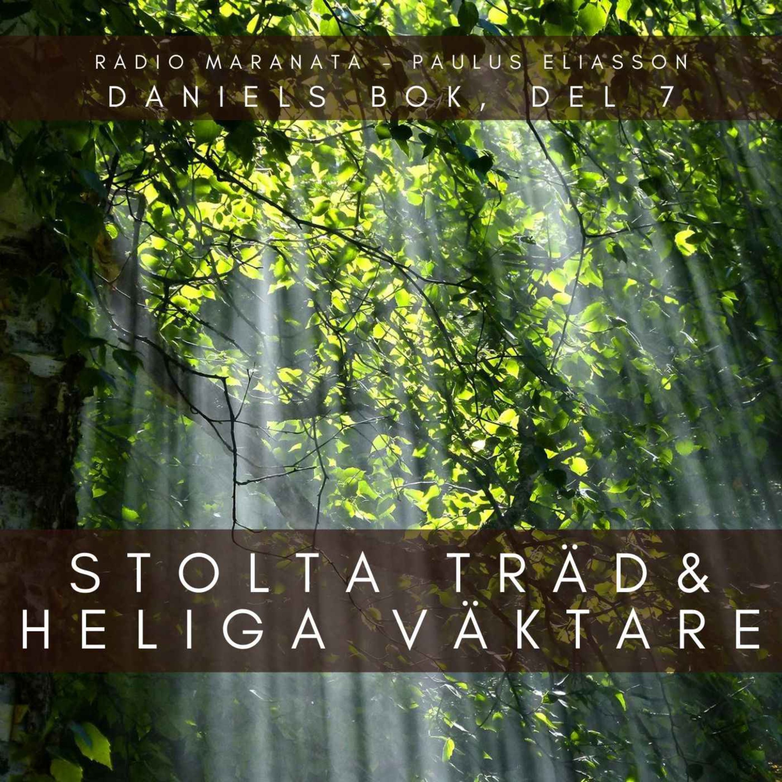 Maranata Podcast